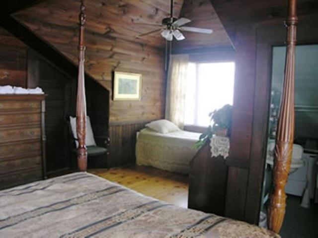 Oliver Lodge ميرديث المظهر الخارجي الصورة