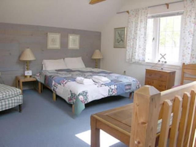 Oliver Lodge ميرديث المظهر الخارجي الصورة