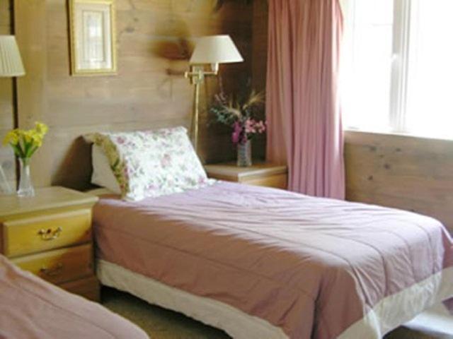 Oliver Lodge ميرديث المظهر الخارجي الصورة