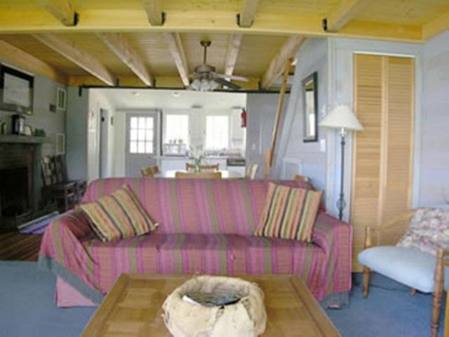 Oliver Lodge ميرديث المظهر الخارجي الصورة